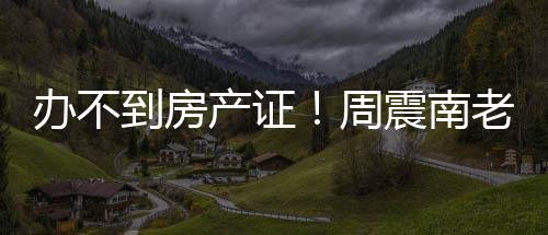 办不老赖到房产证开发周震南再曝缺陷小区父亲